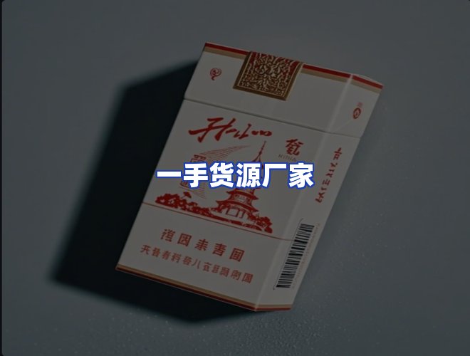 专业团队